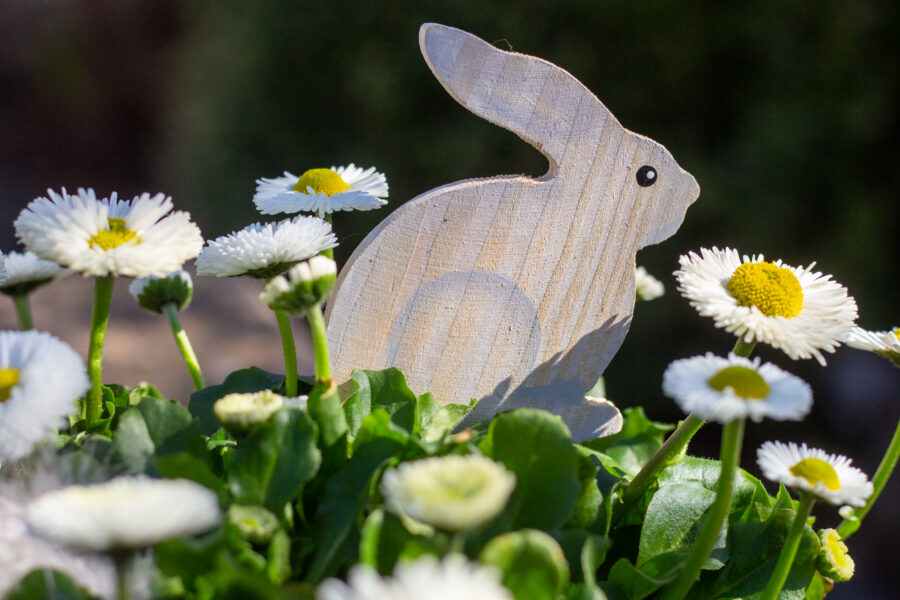 Osterhase aus Holz als Dekoration in einem Blumentopf.