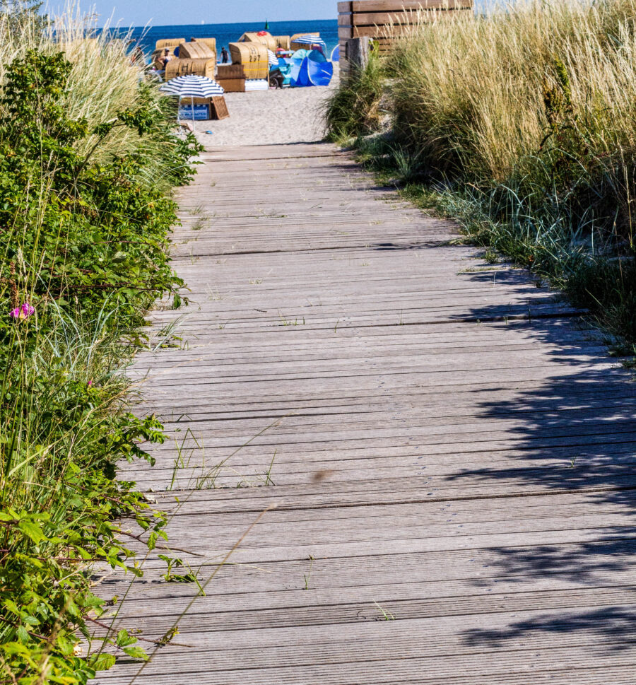 Ein Holzsteg führt ans Meer.