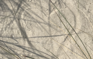 Ein Herz wurde in den Sand gemalt.