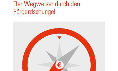 Der Förderkompass zeigt auf einen Blick, wieviel Energiekosten und CO2 welches Heizsystem spart und mit wieviel Prozent es vom Staat gefördert wird.